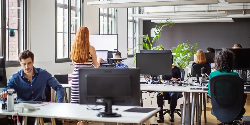 Back Office Support Services